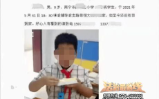 9岁童星拍短剧日入2000，揭秘童星经济背后的商机