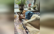 独生女回娘家，岳父紧急呼叫姑爷，背后原因令人深思