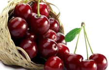 智利车厘子火灾事件：大面积园区被毁，市场恐迎涨价潮