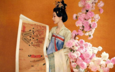 杨紫赠汉服品牌，传统服饰魅力引惊叹