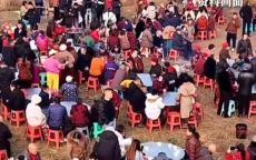 多地叫停“刨猪宴”：传统习俗遭遇现代规范挑战