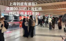 千人排队打车奇观：蹭车回市区成另类解决方案