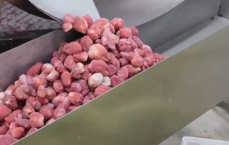 冻干草莓农药残留检测：揭示20余种农药成分