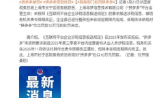 拼多多被税务部门重罚：揭开电商税收乱象背后的真相