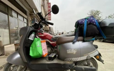 刘涛回应妈祖照被设屏保：尊重传统，传递美好寓意