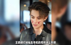 王鹤棣打掉私生手机