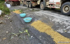 全链条阻断：张凌赫被围堵乱象的根源与对策