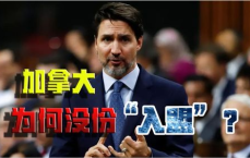 “欧洲35国摒弃美国，打造独立新群聊联盟”