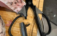 张小泉剪刀手柄断裂：剪鲜鱼时的意外瞬间