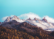 “王楚钦吴刚夫妇腊八佳节温馨同框,甜蜜氛围感染众人”